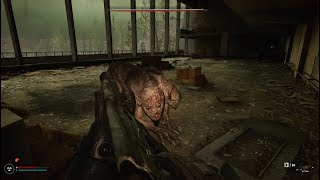 STALKER 2 1.5.2 Freeplay mod with OXA Prototype and Craftable zone mods long gameplay