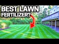 What is the best lawn fertilizer  stop wasting money