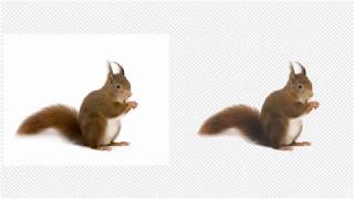 remove image background in corel draw