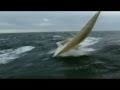 Extreme Sailing and offshore sailboat racing