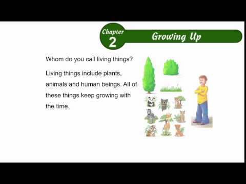 environmental studies class 2 chapter 02 growing up youtube