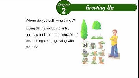 Environmental Studies Class 2 Chapter 02, Growing Up