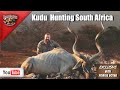 Frikkie Botha Kudu hunt South Africa