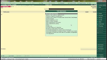 Debit Note Bill Wise Adjustment in Tally.ERP9
