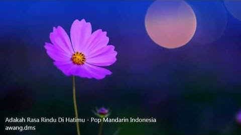 Adakah Rasa Rindu Dihatimu - Pop Mandarin Indonesia