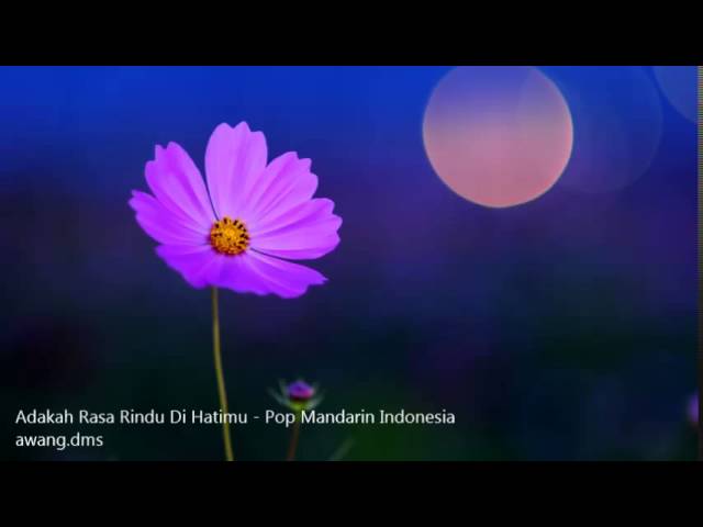 Adakah Rasa Rindu Dihatimu - Pop Mandarin Indonesia class=