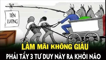 Nếu làm mãi vẫn không giàu, vậy thì phải tẩy ngay 3 lối tư duy nghèo ra khỏi não - Ngẫm Plus