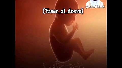 ياسرالدوسري سورة الأحقاف