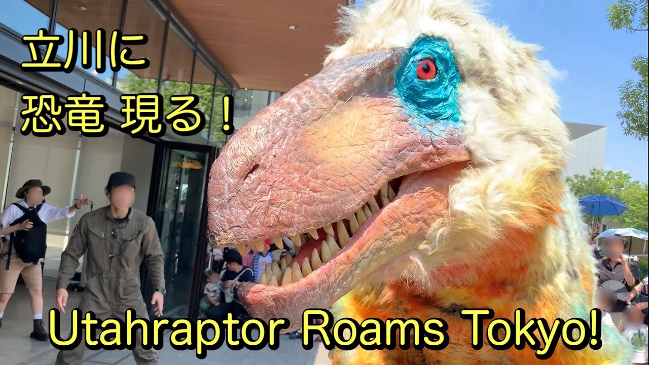 Utahraptor Roams Tokyo! | DINO-A-LIVE Greeting Event - YouTube