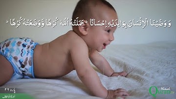 Surah Al-Ahqaf - 46 - 35 - سورة الأحقاف - The Wind-Curved Sandhills