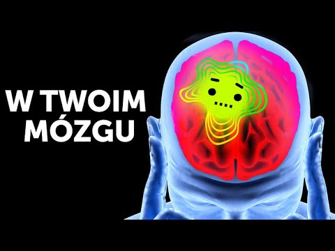 Wideo: Rozmowa Z 3000-letnim Kosmitą żyjącym Na Ziemi W Ludzkim Ciele - Alternatywny Widok