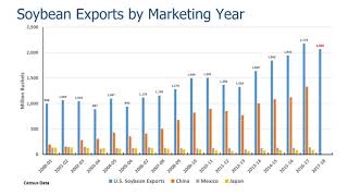 Export Outlook for Soybeans