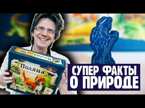 настольная игра "ПОЛЯНА" 