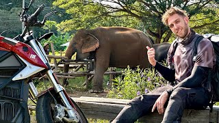 видео: Я нашел слонов в Таиланде!🇹🇭 картинка: Я нашел слонов в Таиланде!🇹🇭