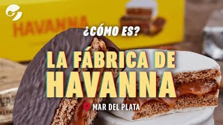 CÓMO ES por dentro la FÁBRICA de HAVANNA en MAR DEL PLATA