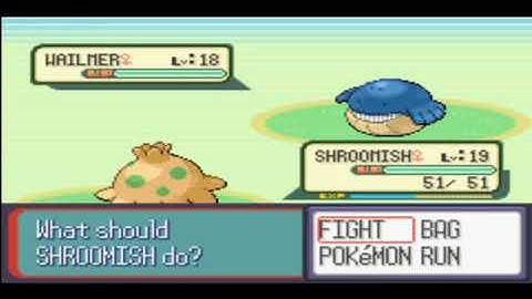 Pokemon Ruby Walkthrough Part 8