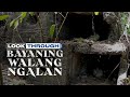 Bayaning Walang Ngalan | Look Through