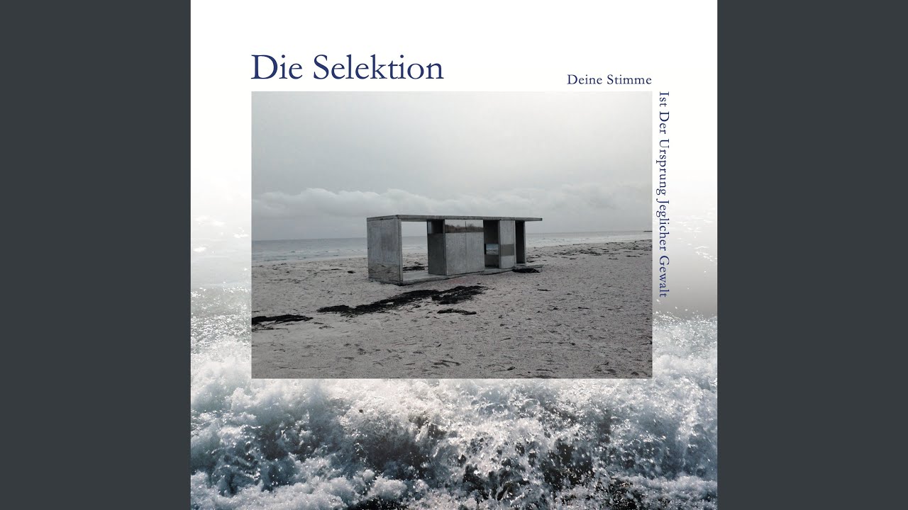 Dein Herz Wiegt Tausend Scherben