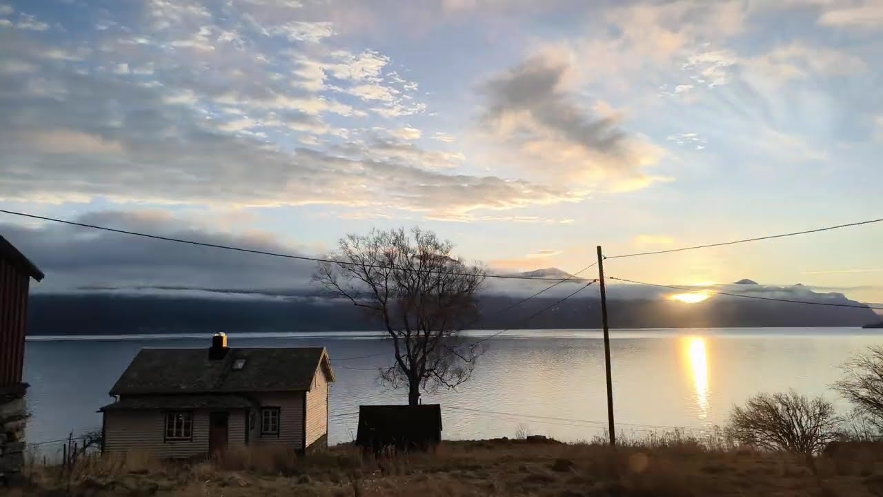 Beautiful View after Snow fall ❄️🌨️/ Snow /Winter 