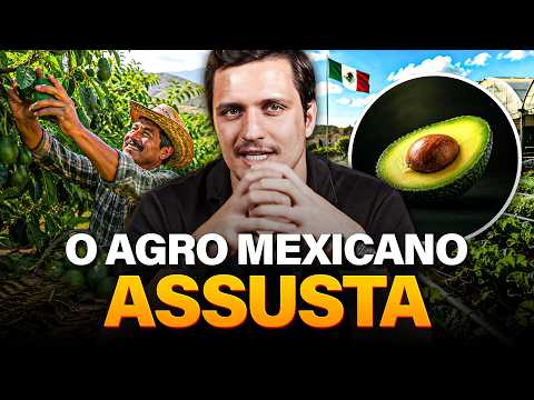 Why is Mexican agriculture so different?
