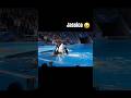 last moment of jassica | orca whale