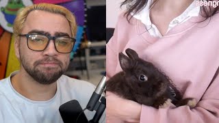 The Sad Story Of Kiwi The Rabbit Mizkif And Emiru