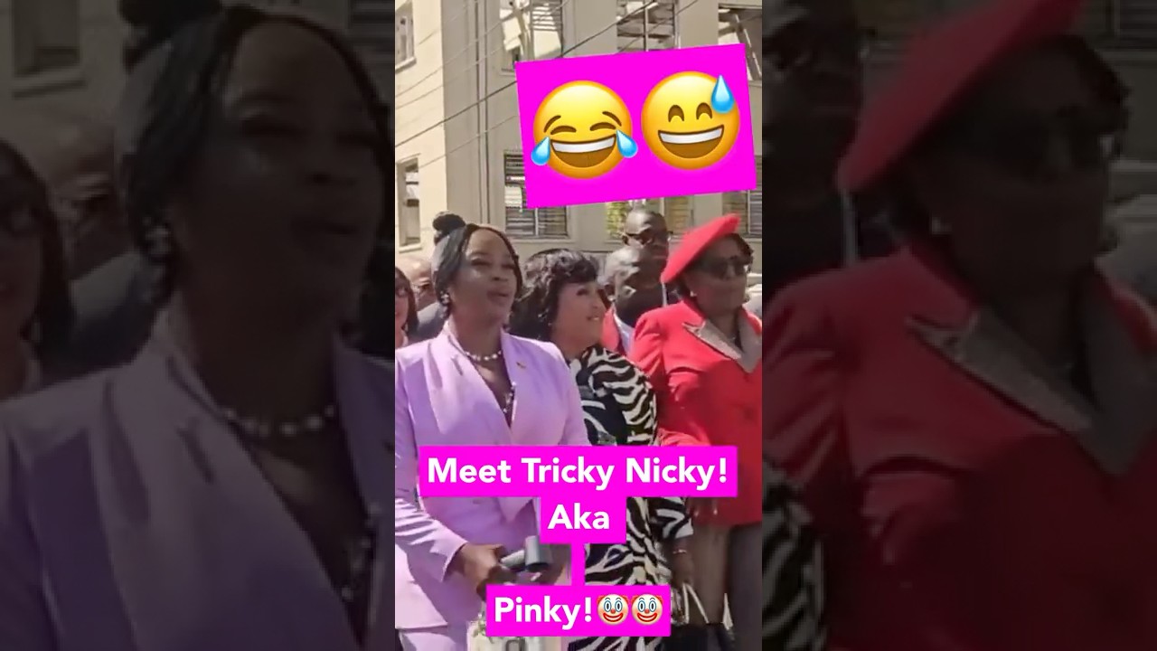 Блогерша раскритиковала неподобающую одежду Некейши Берчелл в здании парламента! | 