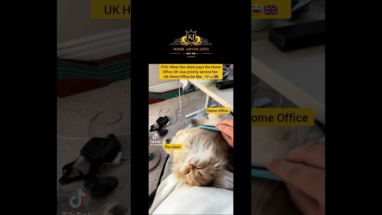 POV: When the client pays the Home Office UK visa priority service fee - UK Home Office be like...😎😂