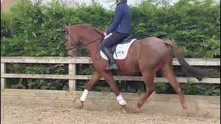 Ad ref 268692 Video 1