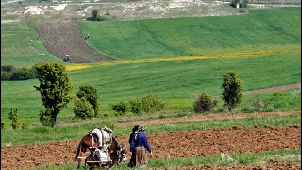 çok içten söylüyor ** 💔 ** kürtçe dengbeji yüreğe dokunan dertli stran kurdi...kürtçe uzun hava