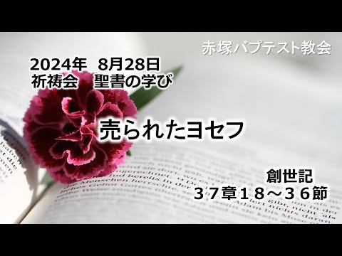 売られたヨセフ　創世記 37章18～36節 2024/ 8/28 WED.　赤塚教会祈祷会 聖書の学び
