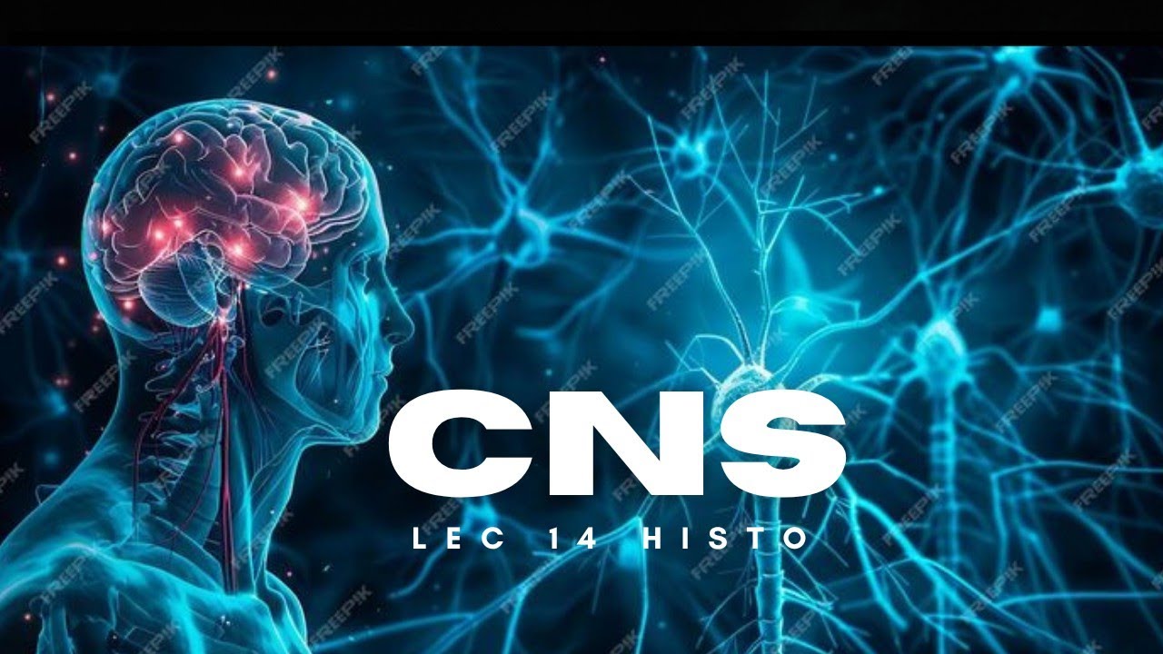 CNS lec14 histo "myelination in cns&pns"