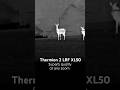 Pulsar Thermion 2 LRF XL50 Thermal Imaging Riflescope Hunting In HD Pulsarvision 