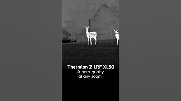 Pulsar Thermion 2 LRF XL50 | Thermal Imaging Riflescope | Hunting in HD #pulsarvision