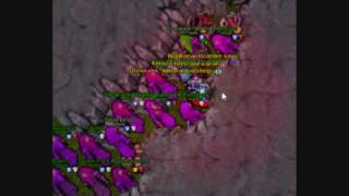 tibia selena Pk by pink team