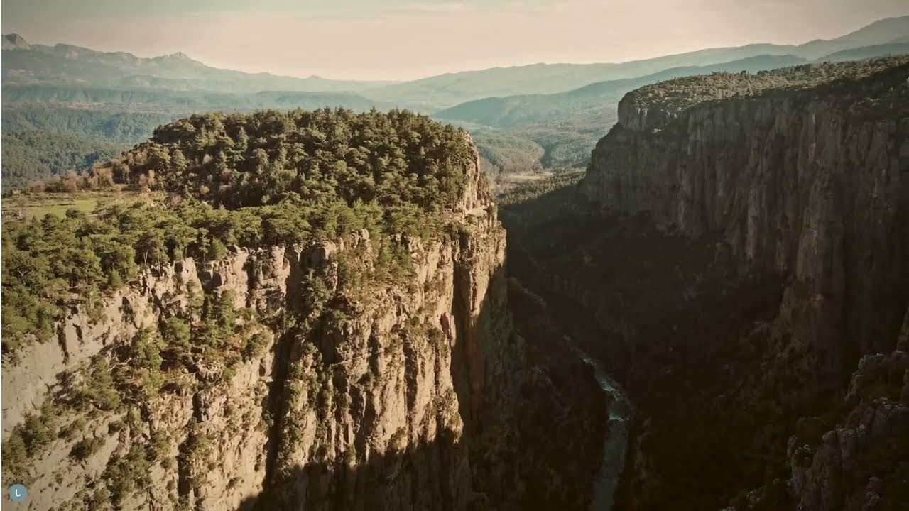 Building Resilience: Techniques to Develop Mental Toughness and Bounce Back Stronger