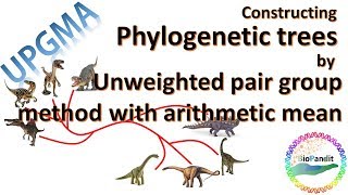 Celebrity Constructing Phylogenetic trees by Unweighted Pair Group Method : UPGMA Net Worth