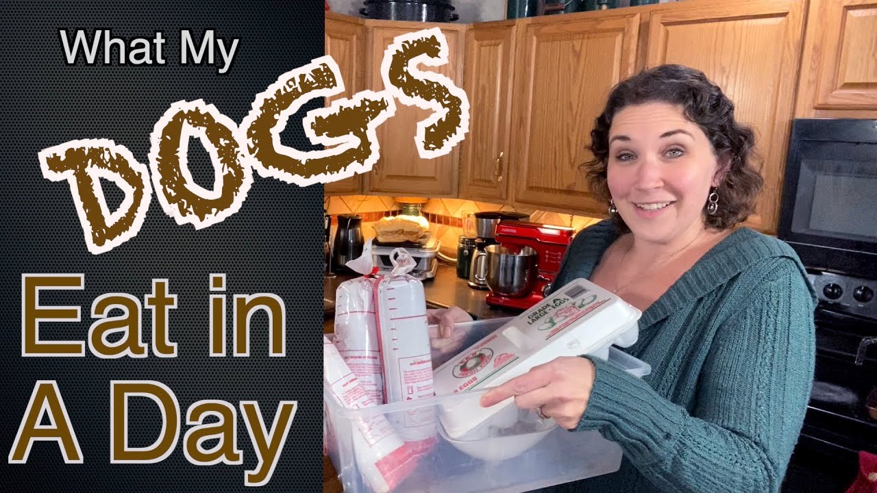 96 Dog food!! What do I give my Dogs in a day? It's what works for us
