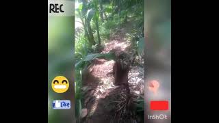 To My New World Of Argriculture, Channel