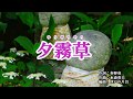 『夕霧草』丘みどり カラオケ 2019年10月23日発売
