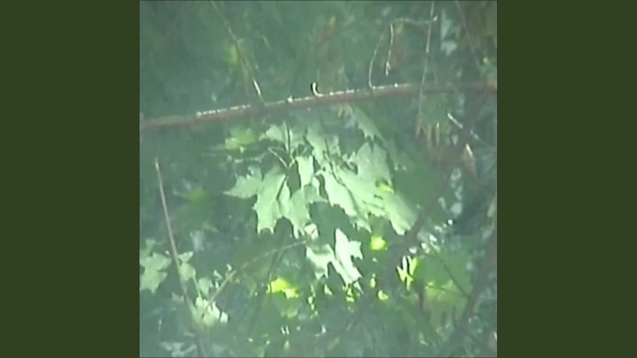 Watch Whatchabout on YouTube Watch Whatchabout on YouTube