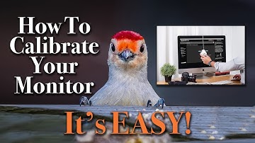 How to Calibrate Your Monitor - IT