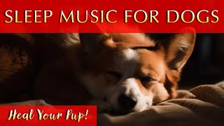 Healing Music for Dogs and Humans to Sleep to 🐾😴 528Hz Bliss