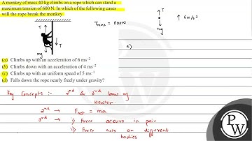 A monkey of mass \( 40 \mathrm{~kg} \) climbs on a rope which can stand a maximum tension of \( ...