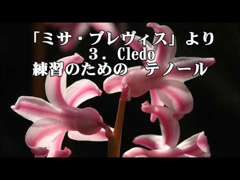パレストリーナ「ミサ・ブレヴィス」より 3．Cledo テノール