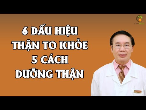 6 dấu hiệu thận khỏe như voi, 5 cách dưỡng thận triệu người tin dùng | Foci