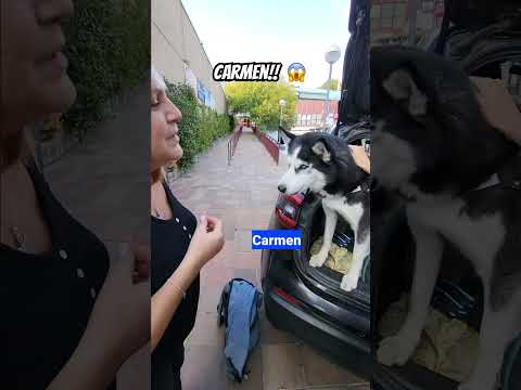 ¡Carmen! 😱 ¡Max