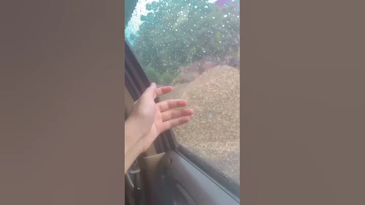 BZU university and Lit Multan short video #bzumultan