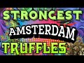 Magic Truffles - YouTube