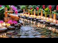 🕊️ Heavenly Bird Sounds &amp; Bamboo Zen 🎹 Peaceful Piano Music for Sleep, Meditation &amp; Relaxation
